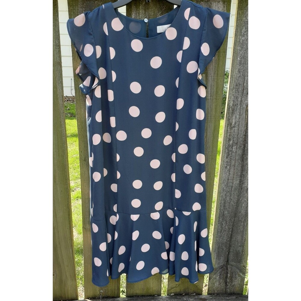 Loft Polka Dot Dress SZ Small Blue Pink Dots Lined Shift Short Sleeve Hook & Eye